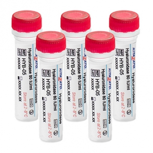  Hyaluronidase